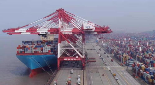 上?？诎痘蛴瓐髲托猿鲐洺保洿鷥疵蛨箨P再現